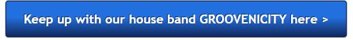 Groovenicity - the Blinkydink LLC house band